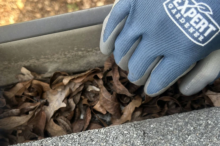 Gutter Cleaning Texas City