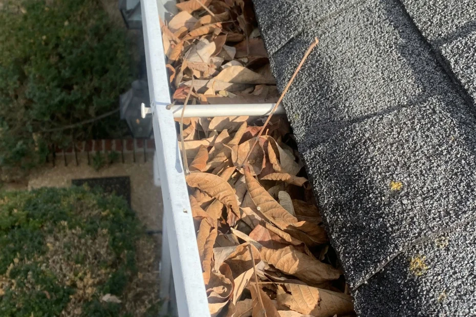 Gutter Cleaning Texas City